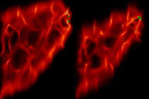 Collapse of an ellipsoid cloud